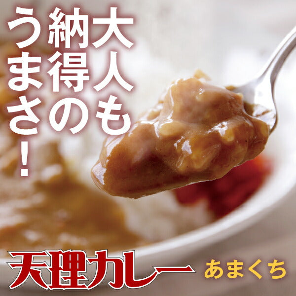 奈良県 「天理カレー(あまくち) 10個セット」