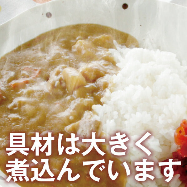 奈良県 「天理カレー(あまくち) 10個セット」