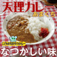 奈良県 「天理カレー(あまくち) 10個セット」