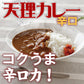 奈良県 「天理カレー(辛口) 10個セット」