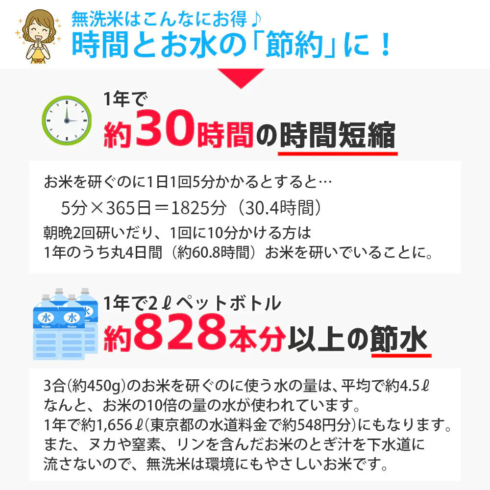 無洗米 10kg (5kg×2袋) こつぶ姫 国内産 送料無料 無洗米10キロ こめ コメ お米 精米 新米 お米10kg お米10キロ
