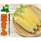 青森県産 嶽きみ 5本セット 真空フレッシュパック