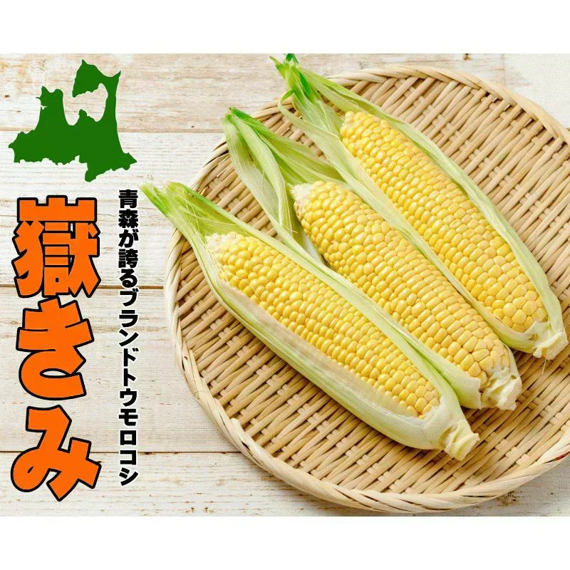 青森県産 嶽きみ 5本セット 真空フレッシュパック