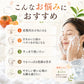 ＼気になる加齢臭を消す／ 石鹸 せっけん ボディソープ 柿渋 カテキン カキタンニン 体臭 男性 女性 加齢臭 足の臭い 脇のニオイ 殺菌 加齢臭対策 ボディケア / カキチャタンニンソープ 100g