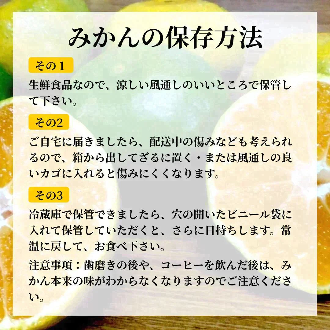 熊本産 みかん 訳あり 約1.5kg ご家庭用 60サイズ　送料無料【ご新規さん限定商品】
