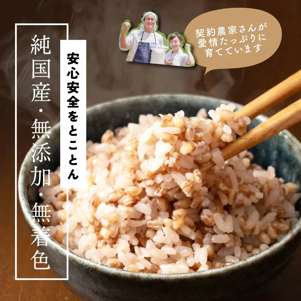 雑穀 雑穀米 国産 家計お助け米 もち麦ミックス 10kg(1kg×10袋)