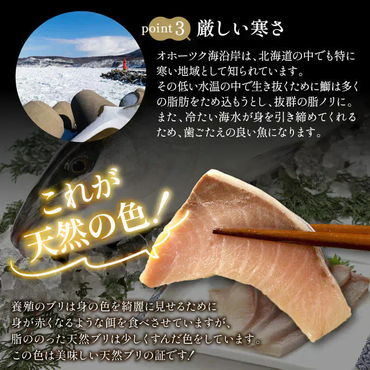 ブリ3種　約1.3kg（ブリ刺身、ブリ漬け、ブリ切り落とし）