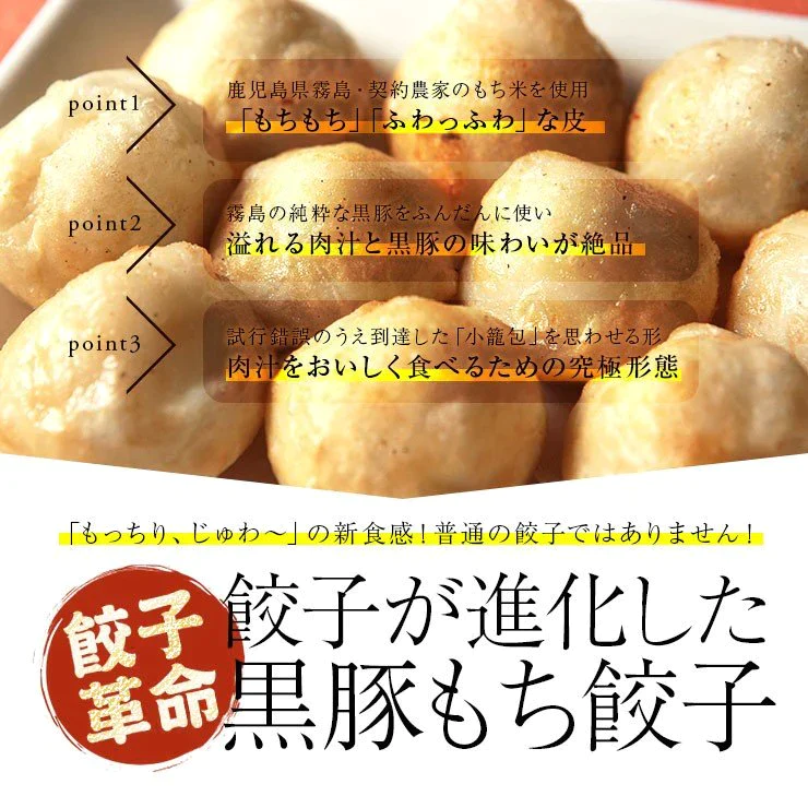もっちりじゅわ〜の新食感 おもちのぎょうざ　黒豚もち餃子 20g×12個