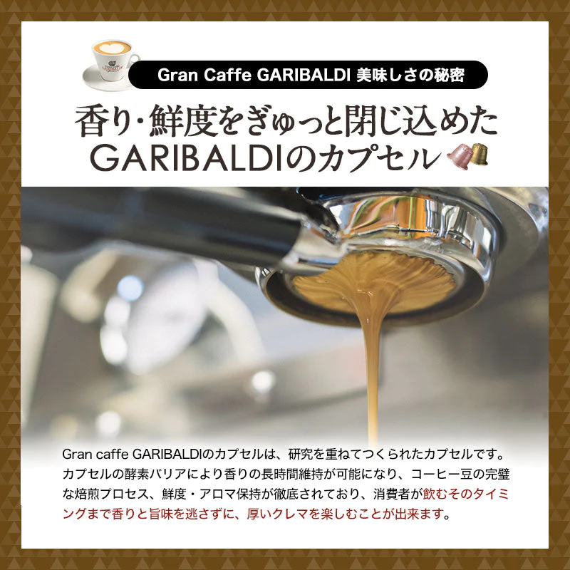 GARIBALDI（ガリバルディ） イタリア産 ネスプレッソ 互換 カプセルコーヒー セレツィオーネ×10箱（100カプセル）【1〜2営業日以内に出荷】[送料無料]エスプレッソ nespresso コーヒー 珈琲