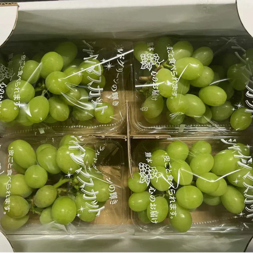 シャインマスカット　1パック約300g×4パック入り　訳あり　熊本産・福岡・大分産　クール便発送　80サイズ