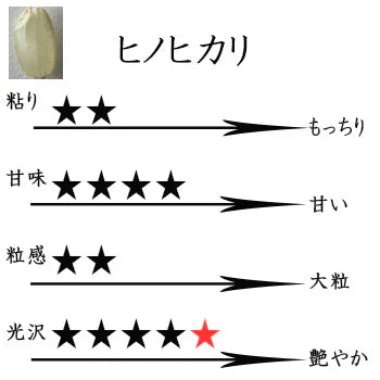 新米 滋賀県彦根産 ヒノヒカリ 白米 18kg 令和6年産 西村悟 環境こだわり農産物