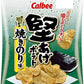 【3人シェア買いでお得】カルビー 堅あげポテト 詰め合わせ 食べ比べ 4種 セット 【 九州しょうゆ ブラックペッパー うすしお味 焼きのり味  計12袋 】