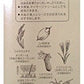 【3人シェア買いでお得】米ぬか美人 メイク落とし 100g × 1個【メイク めいく おとし クレンジング オイル クリーム 保湿 米ぬか 米ぬかエキス 美容 洗顔 弱酸性 無香料 】