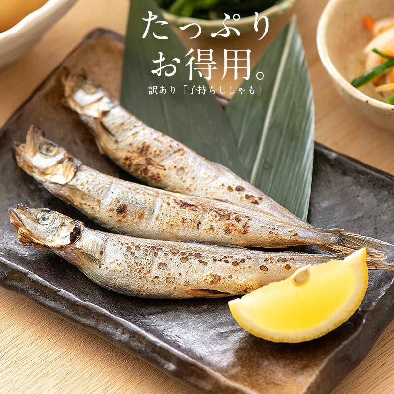 ししゃも シシャモ 子持ち 訳あり メス 1kg お徳用 1キロ 海産物 美味しい 冷凍 大量 魚 自宅用 子持ちししゃも まとめ買い 海鮮 食べ物 贈答用 グルメ 魚介 おかず おつまみ 酒のつまみ 酒の肴 贈り物 贈答 海鮮ギフトセット 母の日 プレゼント ギフト  母の日思いの 健康【エコ得リリースSALE】