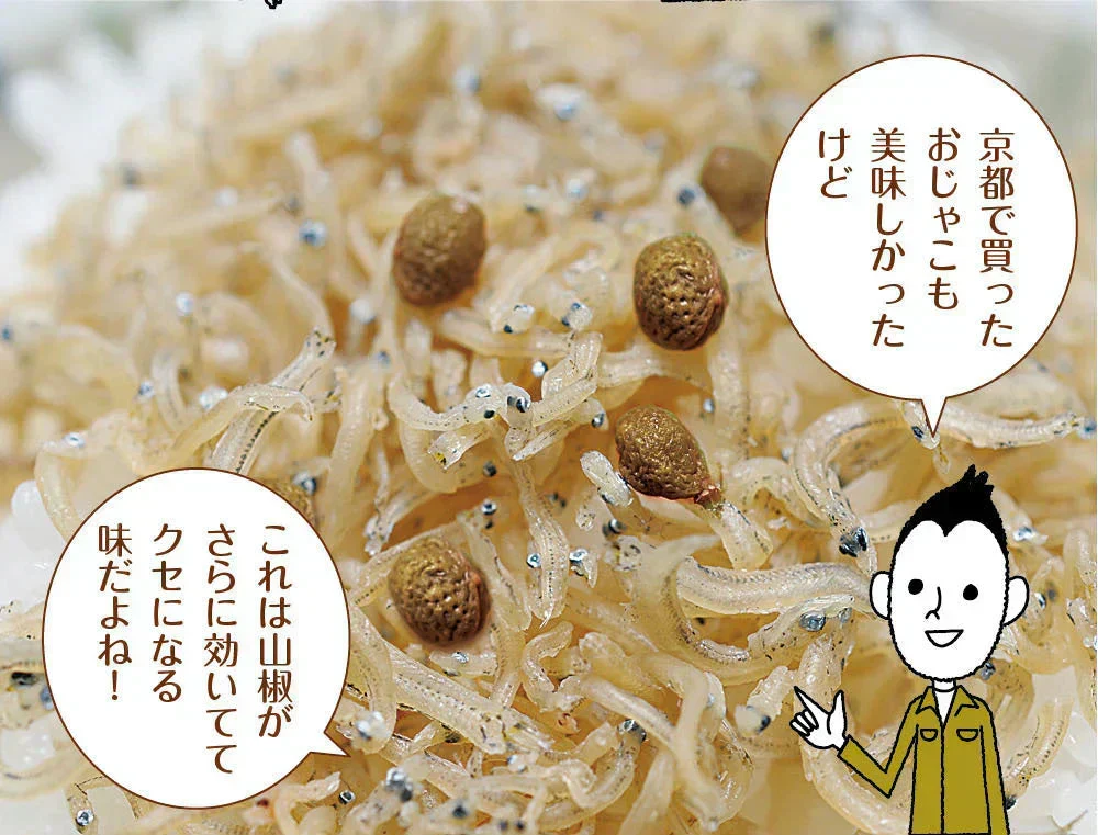 【2個セット】日本橋いなば園 しびれる山椒 瀬戸内ちりめん山椒 35g メール便送料無料