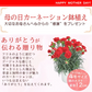 【遅れてゴメン母の日ギフト順次発送】鉢植えカーネーション4号鉢と山形フルーツゼリー詰合せラッピング母の日カード付き！フルーツたっぷりゼリーとカーネーション（ピンク系又はレッド系）をお届け
