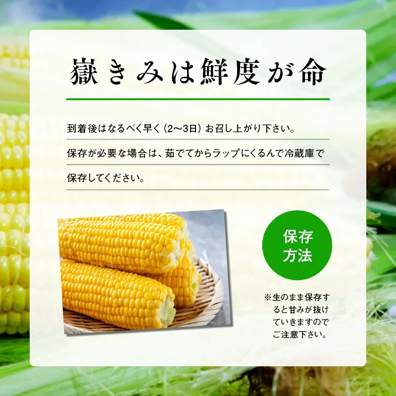 【朝採&産地直送！】青森県産 プレミアムとうもろこし 嶽きみ 24本セット とうもろこし だけきみ トウモロコシ 野菜