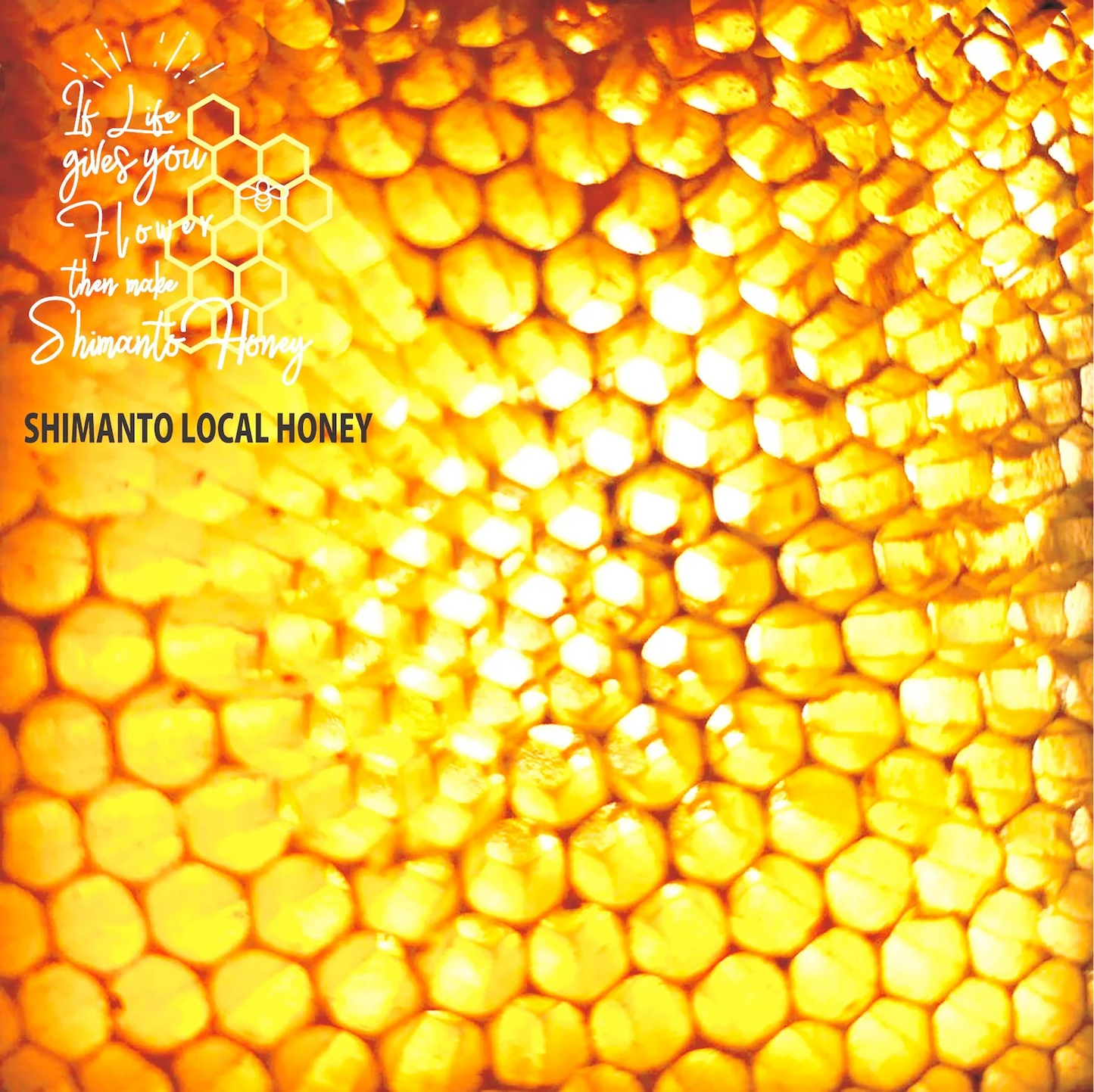 SHIMANTO LOCAL HONEY　80g