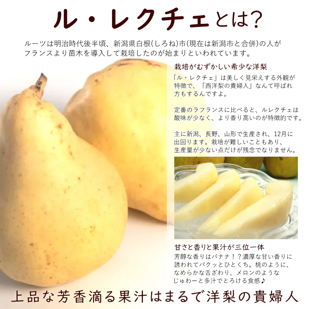 【12月上旬～下旬ご注文受付順次】洋梨ルレクチェ贈り物約3kg化粧箱（8-12玉前後）西洋梨 秀品 贈答 ギフト 洋梨 せいようなし