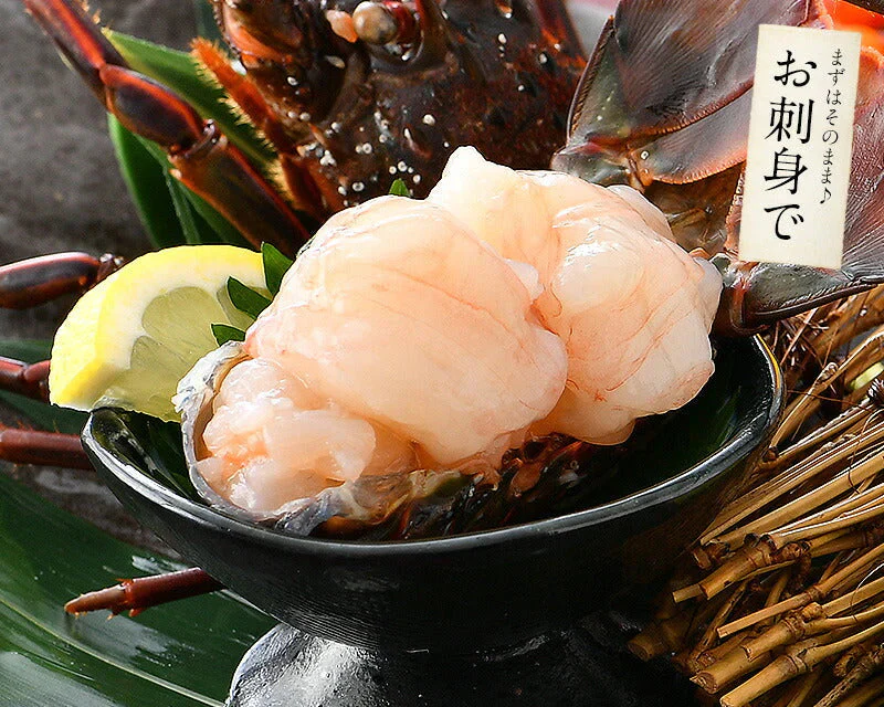 伊勢海老 千葉県産 外房イセエビ 小サイズ×4〜5尾 刺身 冷凍 伊勢エビ 伊勢えび えび エビ 海鮮 魚介 プリプリ 濃厚 グルメ 贈り物 ［送料無料］ 母の日 プレゼント ギフト  母の日思いの 健康 実用的 父の日 子供 孫
