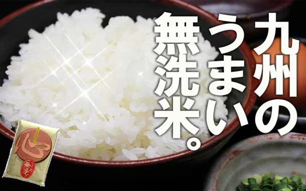 【おためし・普段使いにも】小分けで便利！米 無洗米 送料無料 九州産「心」 4kg(2kg×2)令和5年 九州産