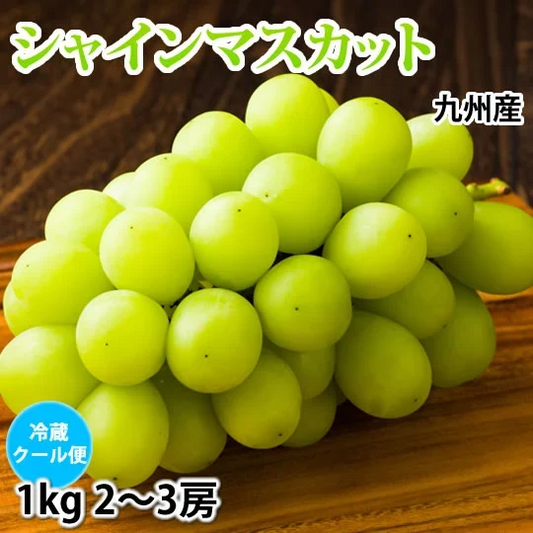 シャインマスカット ぶどう 送料無料 1kg 2〜3房 九州産 マスカット 葡萄 ブドウ