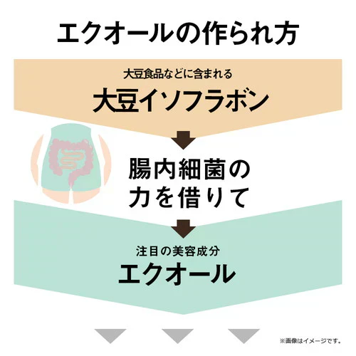 ガセリ菌エクオール まとめ買い 2個セット ガセリ菌 善玉菌 乳酸菌 腸活 菌活 エクオール サプリメント 大豆イソフラボン サプリメント 大容量 お徳用 健康 美容 RoyalBS 日本製