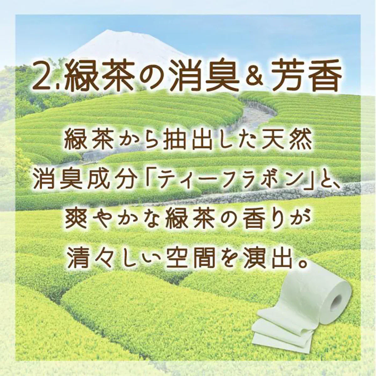 トイレットペーパー 丸富製紙 ペンギン 緑茶の力プレミアム ティーフラボン 再生紙100% 緑茶の香り 130カット 3枚重ね20m 4ロール入り X12パック