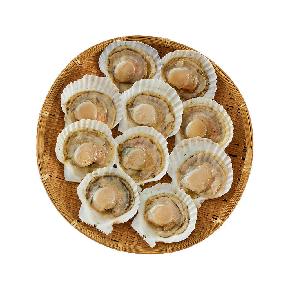 北海道産 帆立片貝 10枚(75g×10) 貝類 ホタテ【送料込み】【二重包装不可】【お届け不可地域：離島】