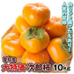 【数量限定】次郎柿 ご家庭用 約10kg 愛知産 甘柿（発送予定：10月下旬より）