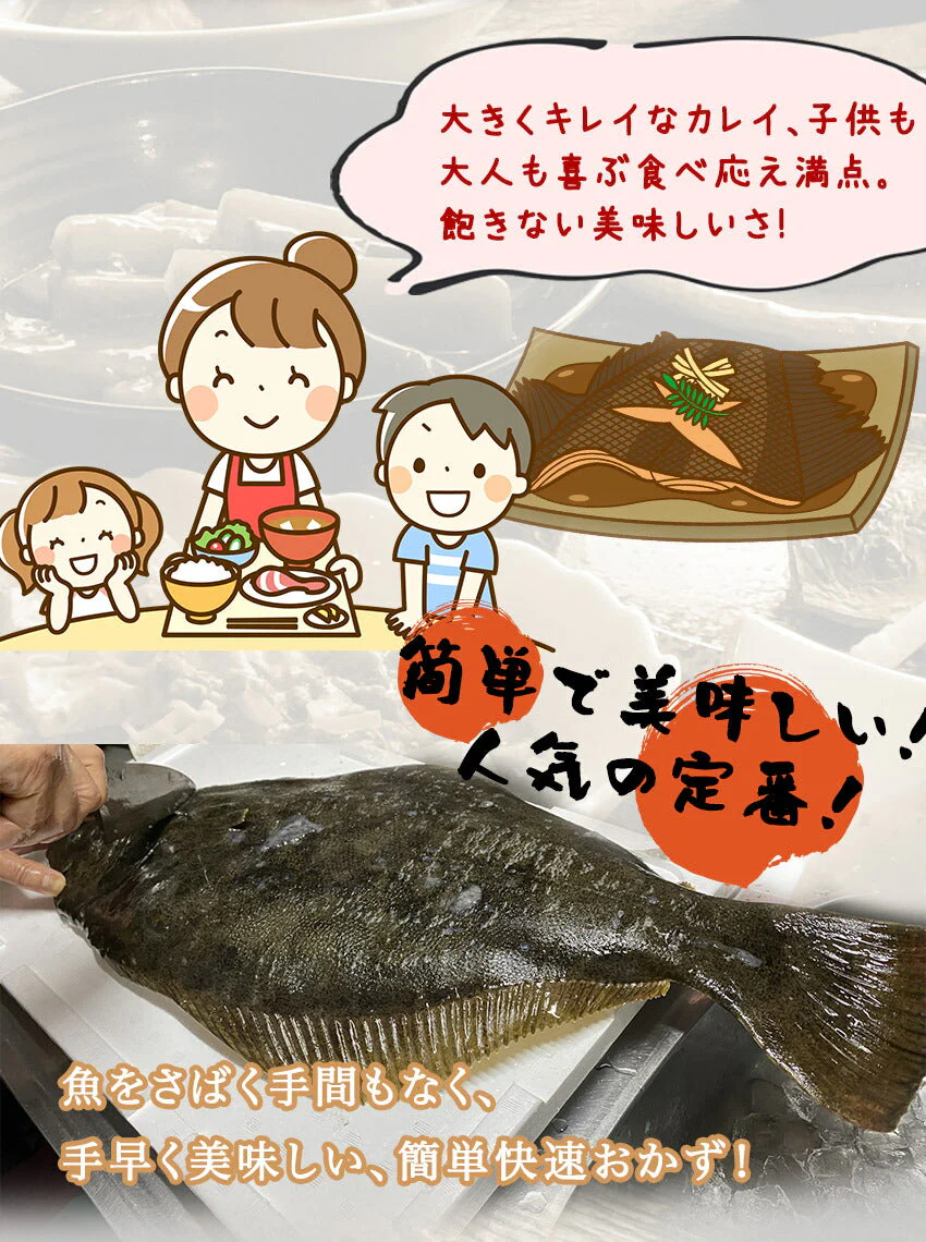 カレイの煮つけ(10パック)