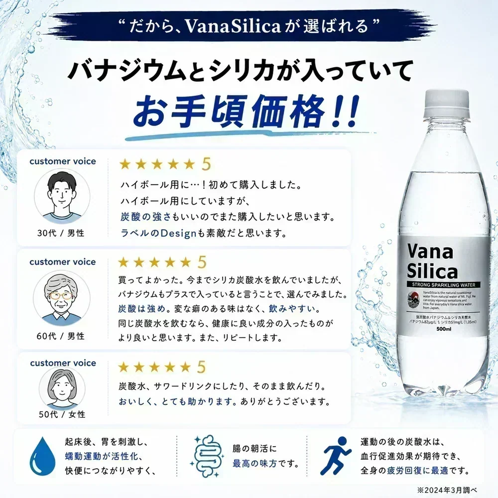 炭酸水 富士山のバナジウム＆シリカ 強炭酸水 VanaSilica（バナシリカ） 500ml 24本×2箱（計48本）プレーン
