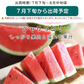 【7月下旬-8月下旬頃からご注文順次】山形県産 尾花沢すいか 1玉 (秀品 1玉 約7-8kg前後)大玉スイカ すいか スイカ 西瓜 大玉 夏ギフト お中元 暑中見舞い ギフト 贈り物 プレゼント 人気 果物 フルーツ 山形県 お取り寄せ