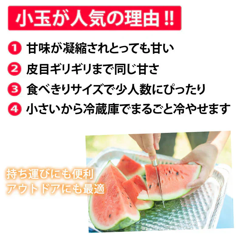 すいか 送料無料 訳あり 小玉すいか 2玉 約2～2.5kg スイカ 熊本すいか お取り寄せ すいか 西瓜 ひとりじめ 果物 フルーツ