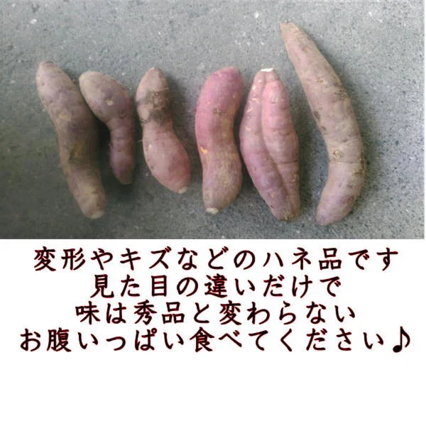 訳あり 紅はるか 箱込10キロ(9kg+保証分500g) 新物 サイズおまかせ さつまいも 蜜芋 熊本産 送料無料