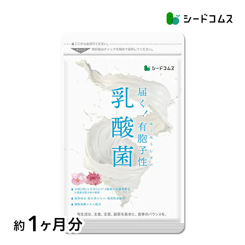 乳酸菌《約1ヶ月分》有胞子性乳酸菌ソフトカプセル/ 乳酸菌 高配合 サプリ 桜の花エキス【カウシェファーム収穫対象商品】
