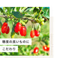 有機 クコの実 Green Dish 80g 2袋 有機JAS認定 オーガニック 国内製造 無農薬 保存料 着色料 無添加 ゴジベリー ウルフベリー 杏仁豆腐 赤い実 くこの実 枸杞子 スーパーフード ドライフルーツ 枸杞の実 更年期 お茶 薬膳 砂糖不使用 栄養 大粒 サプリ