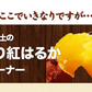 さつまいも 熊本県産 訳あり 紅はるか べにはるか 1kg 送料無料 ※大中小サイズ混合(不選別 ) 焼き芋 さつま芋 薩摩芋《3-7営業日以内に出荷予定(土日祝除く)》