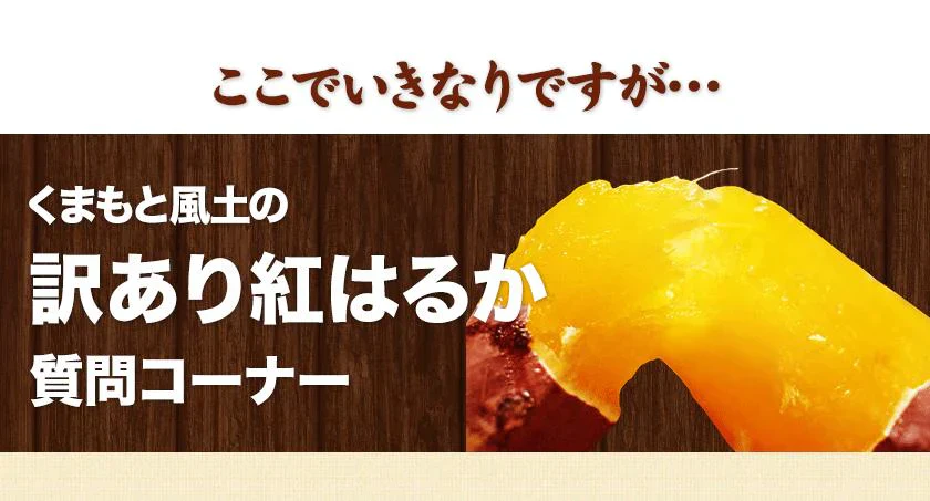 さつまいも 熊本県産 訳あり 紅はるか べにはるか 1kg 送料無料 ※大中小サイズ混合(不選別 ) 焼き芋 さつま芋 薩摩芋《3-7営業日以内に出荷予定(土日祝除く)》