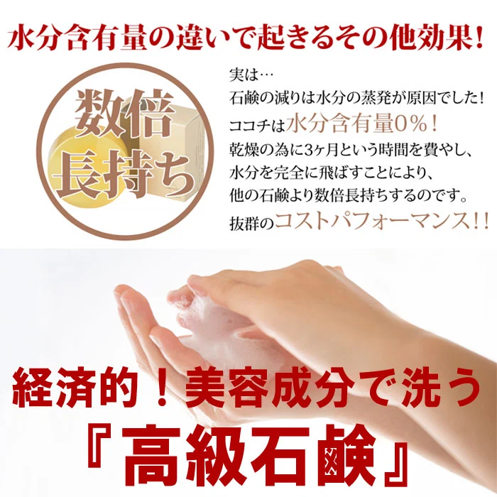 超高級石鹸 プレミアムソープ 100g ／ プラセンタエキス、ヒアルロン酸、コラーゲン、核酸、フルボ酸、ホホバオイル配合◎一般的な石鹸より溶けにくく数倍長持ち 送料無料