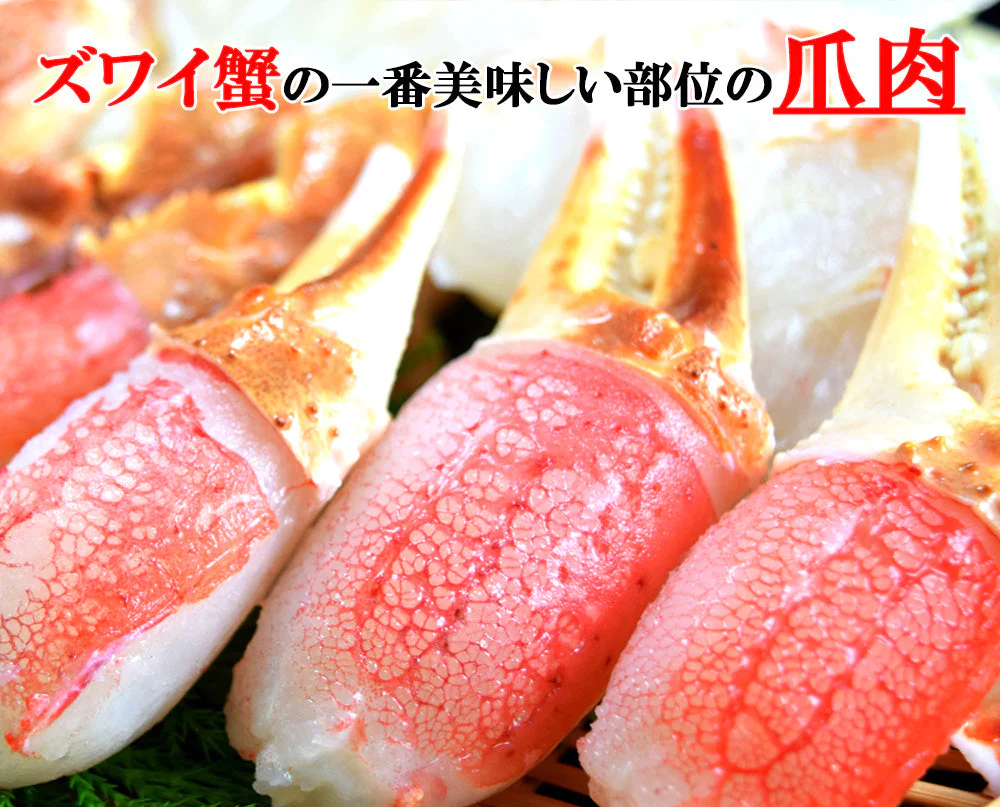 ズワイガニ ずわい蟹 カニ爪 500g カニ爪ポーション 蟹爪 かにつめ むき爪 カニしゃぶ カニ鍋 shr-013