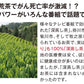 【2個セット】日本橋いなば園 静岡深蒸し茶 荒茶づくり 100g ネコポス メール便送料無料