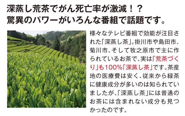 【2個セット】日本橋いなば園 静岡深蒸し茶 荒茶づくり 100g ネコポス メール便送料無料