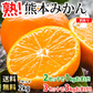 みかん 温州みかん 送料無料 訳あり 2kg 2セット購入で1kgおまけ 3セット購入で3kgおまけ 熊本県産 熊本みかん 蜜柑 ミカン