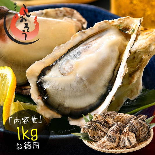 カキ 牡蠣 かき 生食用 殻付き 1kg（8〜10個前後） 冷凍 ［送料無料］ 生牡蠣 生食 美味しい 冷凍牡蠣 生ガキ 生食用カキ お取り寄せ 殻付き牡蠣 高鮮度 贈り物 お取り寄せグルメ 贈答用