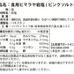 ヒマラヤ岩塩 【食用】 (1kg) 犀印 ピンクミル