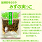 ご飯のお供3種 Cセット （味噌漬・みずの実っこ・おかずがっこ）
