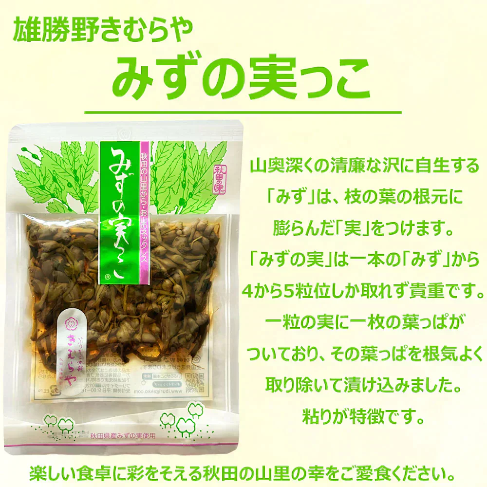 ご飯のお供3種 Cセット （味噌漬・みずの実っこ・おかずがっこ）
