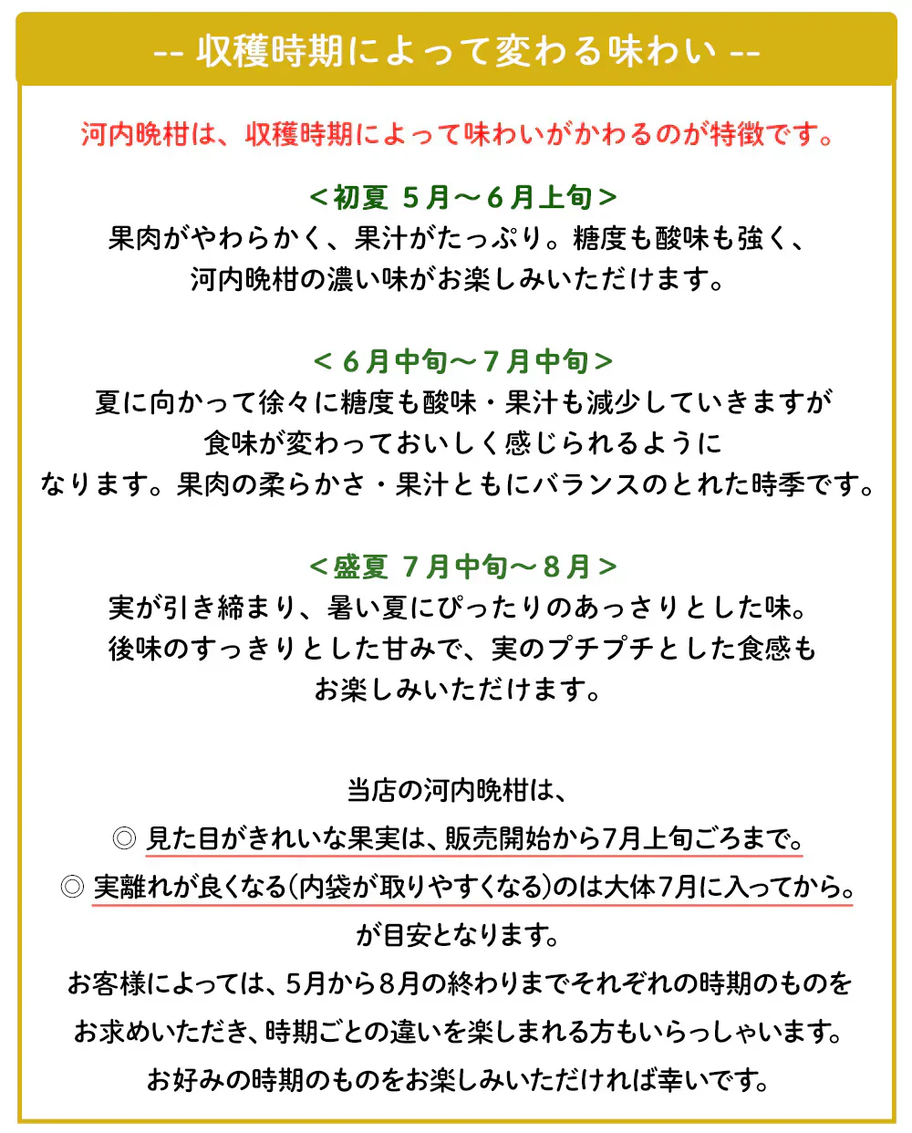 河内晩柑 Ｂ級品 (4kg) ※中玉・大玉MIX 訳あり  晩柑 ご家庭用 箱買い B品 サイズミックス 柑橘 みかん フルーツ 果物 産地直送 愛媛県産