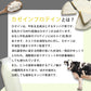 カゼインプロテイン 1kg リッチチョコレート スロープロテイン 国内加工 (MADPROTEIN) マッドプロテイン